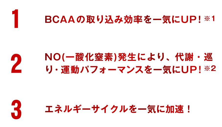 1.BCAAの取り込み効率を一気にUP！※1　2.NO(一酸化窒素)発生により、代謝・巡り・運動パフォーマンスを一気にUP！※2　3.エネルギーサイクルを一気に加速！