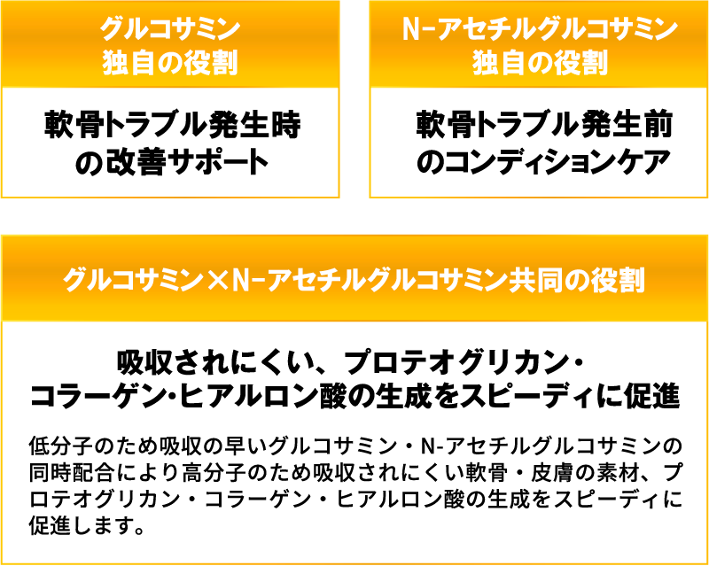 【グルコサミン独自の役割】軟骨トラブル発生時の改善サポート【N-アセチルグルコサミン独自の役割】軟骨トラブルが発生前のコンディションケア【グルコサミン×N-アセチルグルコサミン共同の役割】プロテオグリカン・コラーゲン・ヒアルロン酸の生成をスピーディに促進。低分子のため吸収の早いグルコサミン・N-アセチルグルコサミンの同時配合により高分子のため吸収されにくいプロテオグリカン・コラーゲン・ヒアルロン酸の生成をスピーディに促進します。