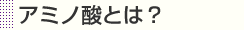 アミノ酸とは？