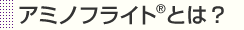 アミノフライトとは？