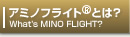 アミノフライトとは?