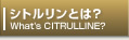 シトルリンとは？