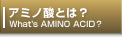 アミノ酸とは？