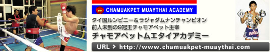 チャモアペット主宰 チャモアペットムエタイアカデミー
