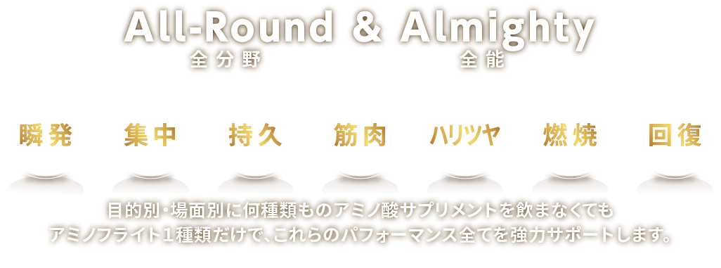 All-Round & Almighty全能全分野目的別・場面別に何種類ものアミノ酸サプリメントを飲まなくてもアミノフライト１種類だけで、これらのパフォーマンス全てを強力サポートします。