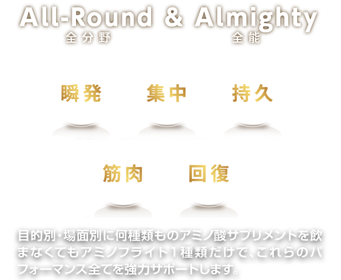 All-Round & Almighty全能全分野目的別・場面別に何種類ものアミノ酸サプリメントを飲まなくてもアミノフライト１種類だけで、これらのパフォーマンス全てを強力サポートします。