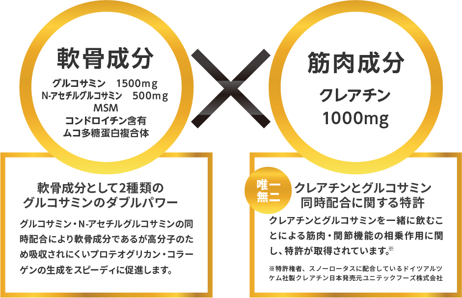 軟骨成分グルコサミン1500mg　N-アセチルグルコサミン500mg　MSM　コンドロイチン含有　ムコ多糖充白複合体×筋肉成分クレアチン1000mg　軟骨成分として2種類のグルコサミンのダブルパワー　グルコサミン・N-アセチルグルコサミンの同配合により軟骨成分であるが高分子のため吸収されにくいプロテオグリカン・コラーゲンの生成をスピーディーに促進します。唯一無二クレアチンとグルコサミン同時配合に関する特許クレアチンとグルコサミンを一緒に飲むことによる筋肉・関節機能の相乗作用に関し、特許が取得されています。