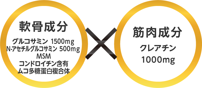 軟骨成分グルコサミン1500mg　N-アセチルグルコサミン500mg　MSM　コンドロイチン含有　ムコ多糖充白複合体×筋肉成分クレアチン1000mg　軟骨成分として2種類のグルコサミンのダブルパワー　グルコサミン・N-アセチルグルコサミンの同配合により軟骨成分であるが高分子のため吸収されにくいプロテオグリカン・コラーゲンの生成をスピーディーに促進します。唯一無二クレアチンとグルコサミン同時配合に関する特許クレアチンとグルコサミンを一緒に飲むことによる筋肉・関節機能の相乗作用に関し、特許が取得されています。