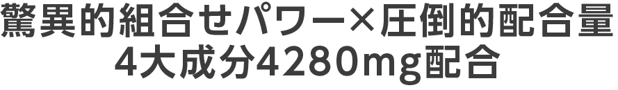 驚異的組合せパワー×圧倒的配合量4大成分4280mg配合